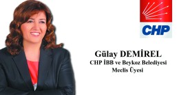 CHP’li Demirel’den Basın Açıklaması