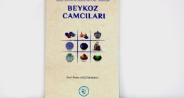  “BEYKOZ CAMCILARI” KİTABI ÇIKTI