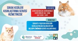 Beykoz’da Kısırlaştırma Seferberliği