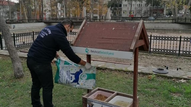 Beykoz Belediyesi kısıtlamada can dostlarımızı unutmadı