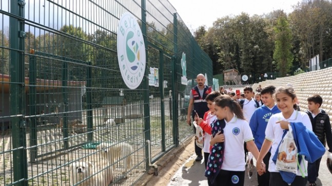 Beykozlu Çocuklar Sokak Hayvanları İçin Rengârenk Kulübeler Yaptı