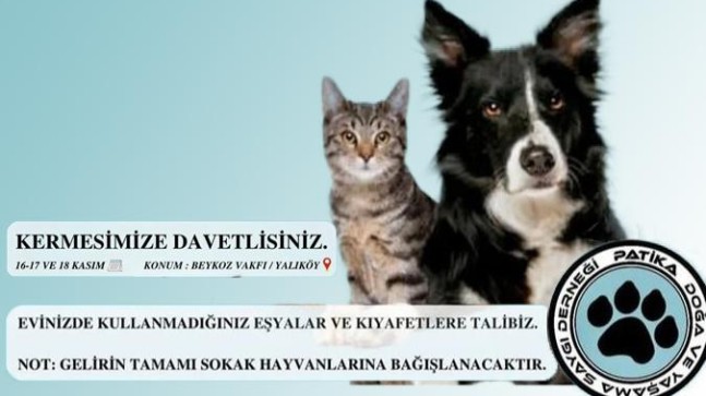 Patika Doğa ve Yaşama Saygı Derneği, sokak hayvanları yararına kermes düzenleyecek