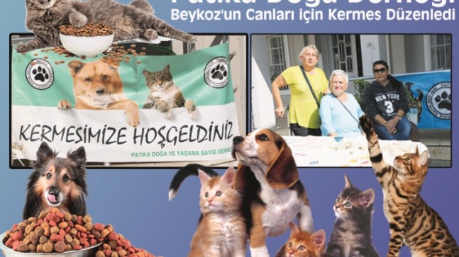 Patika Doğa Derneği, Beykoz’un Canları için Kermes Düzenledi