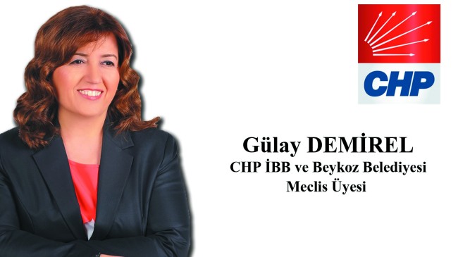 CHP’li Demirel’den Basın Açıklaması