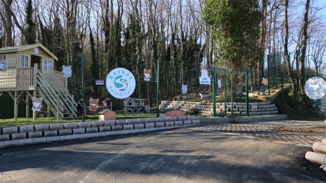 BEYKOZ’DA SOKAK HAYVANLARINA “DOĞAL YAŞAM ALANI”