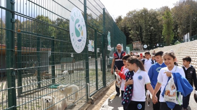 Beykozlu Çocuklar Sokak Hayvanları İçin Rengârenk Kulübeler Yaptı