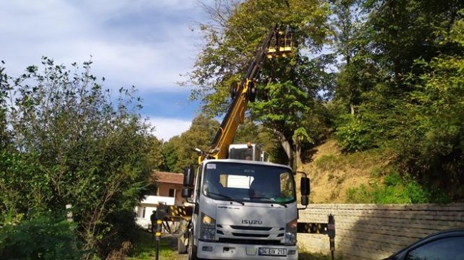 Beykoz’da Budama Mevsimi Başladı